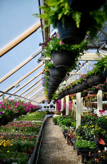 commercial greenhouse builder