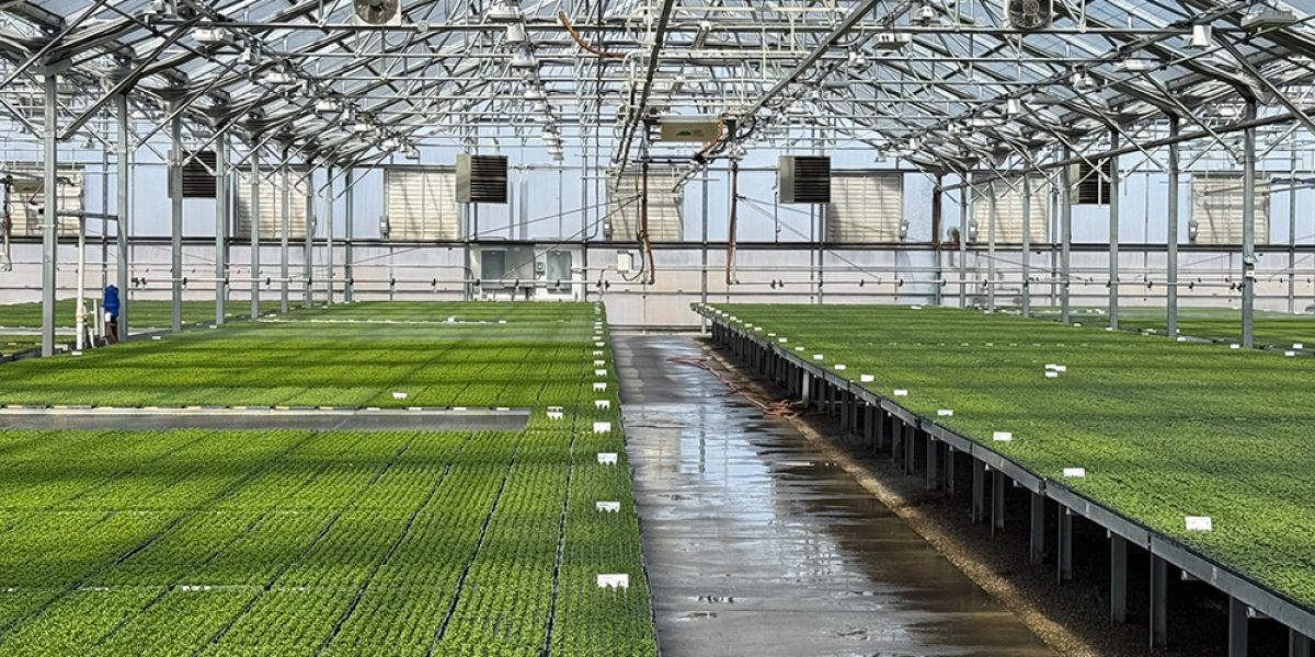 greenhouse builder near me